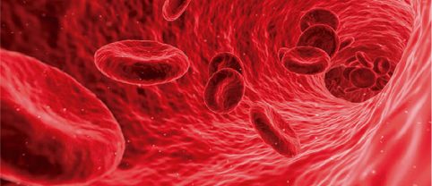 Papo de vampiro: sangue jovem ajuda a rejuvenescer células da pele
