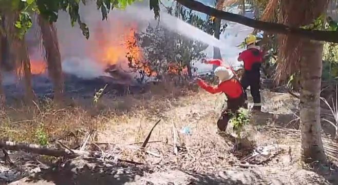 Incêndio atinge terreno com vegetação seca e mobiliza bombeiros no Nova Cidade